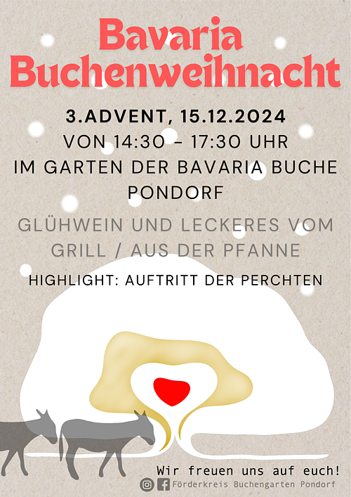 Bavaria - Buchenweihnacht